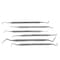 A2Z Scilab 6 Pcs Oral Hygiene Kit Stainless Steel Dental Tools A2Z-ZR-SS6 - alternate 1